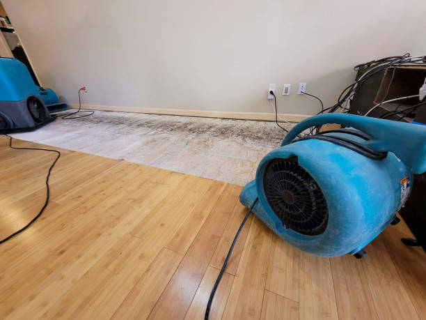 Professional Sewage Cleanup technician working in Bell Gardens, CA